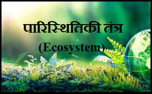 essay on ecosystem in hindi