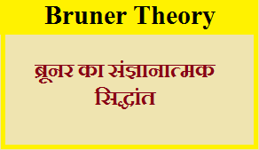 bruner theory kya hai hindi